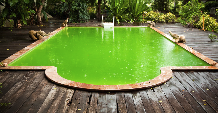 Eau verte de piscine : la rattraper en 48h (guide) | Unibéo